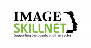image skillnet logo
