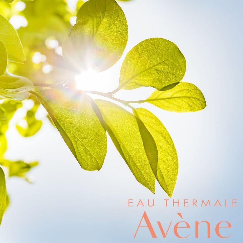 avene logo